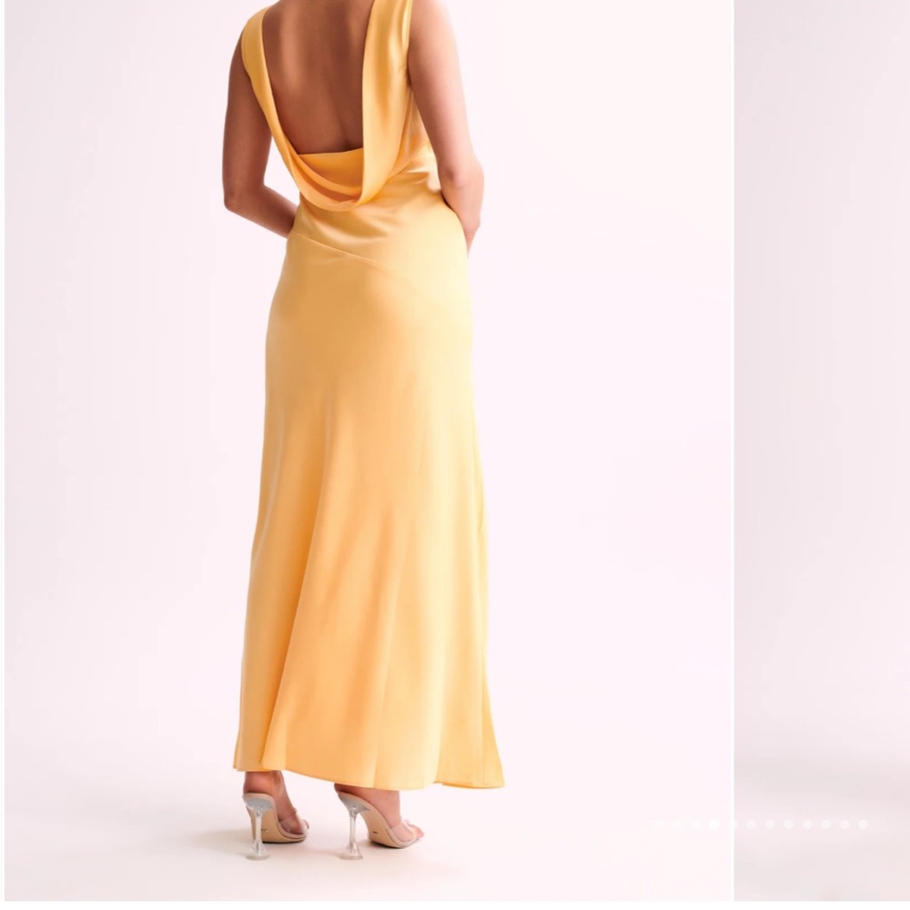 NEW MESHKI Dress - Picture 2 of 6